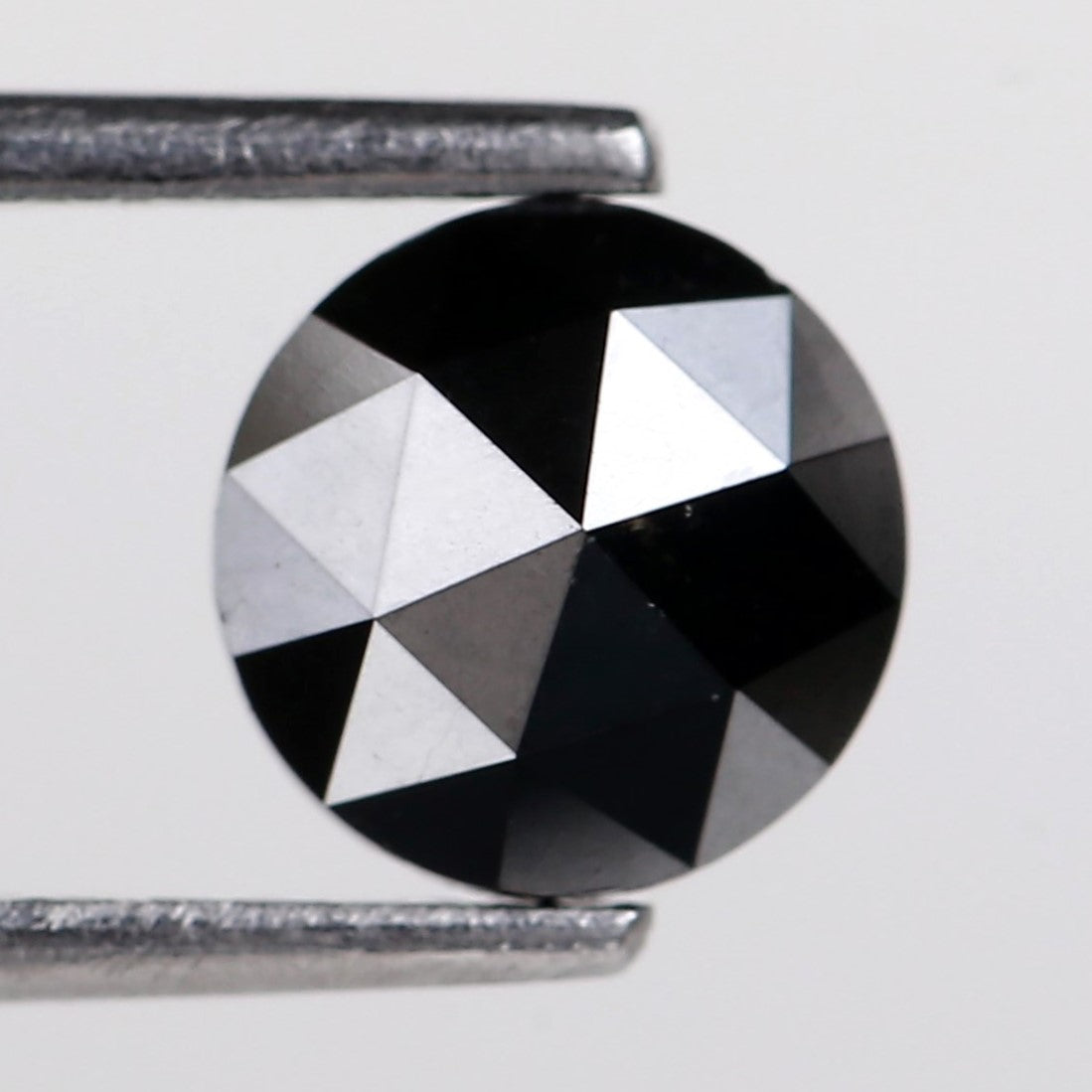 Close up of a Black Rose Cut held between tweezers on a white background