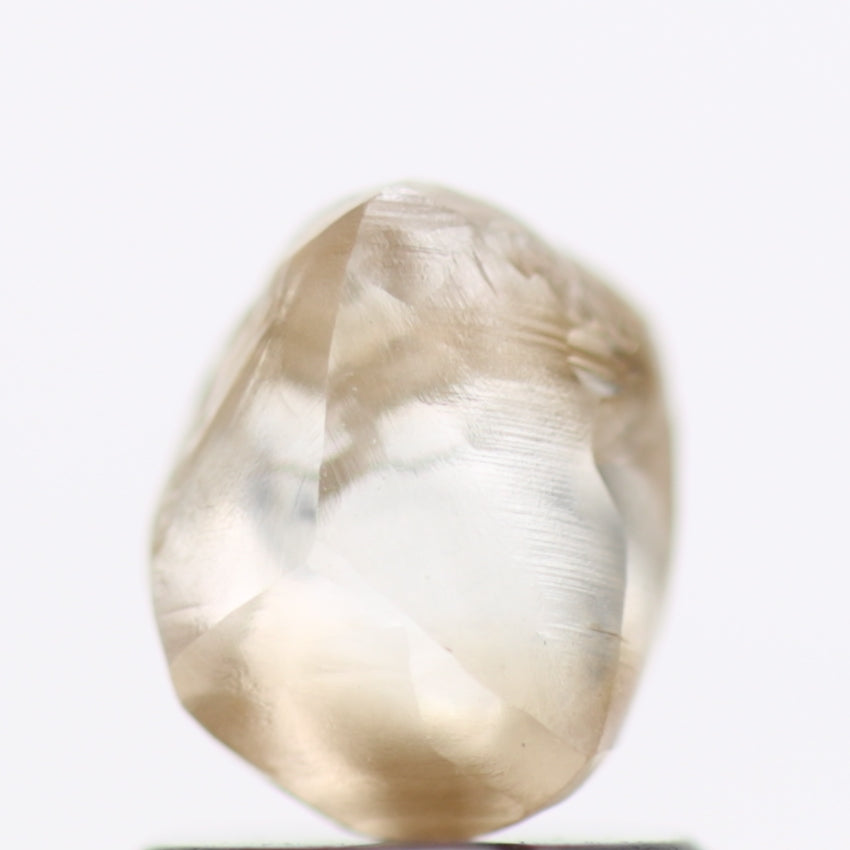 Champagne Brown Diamonds Rough Natural 6.53 MM