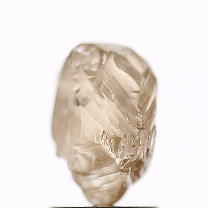 1.89 Carat Natural Fancy Champagne Brown Rough Diamond 8.3 MM