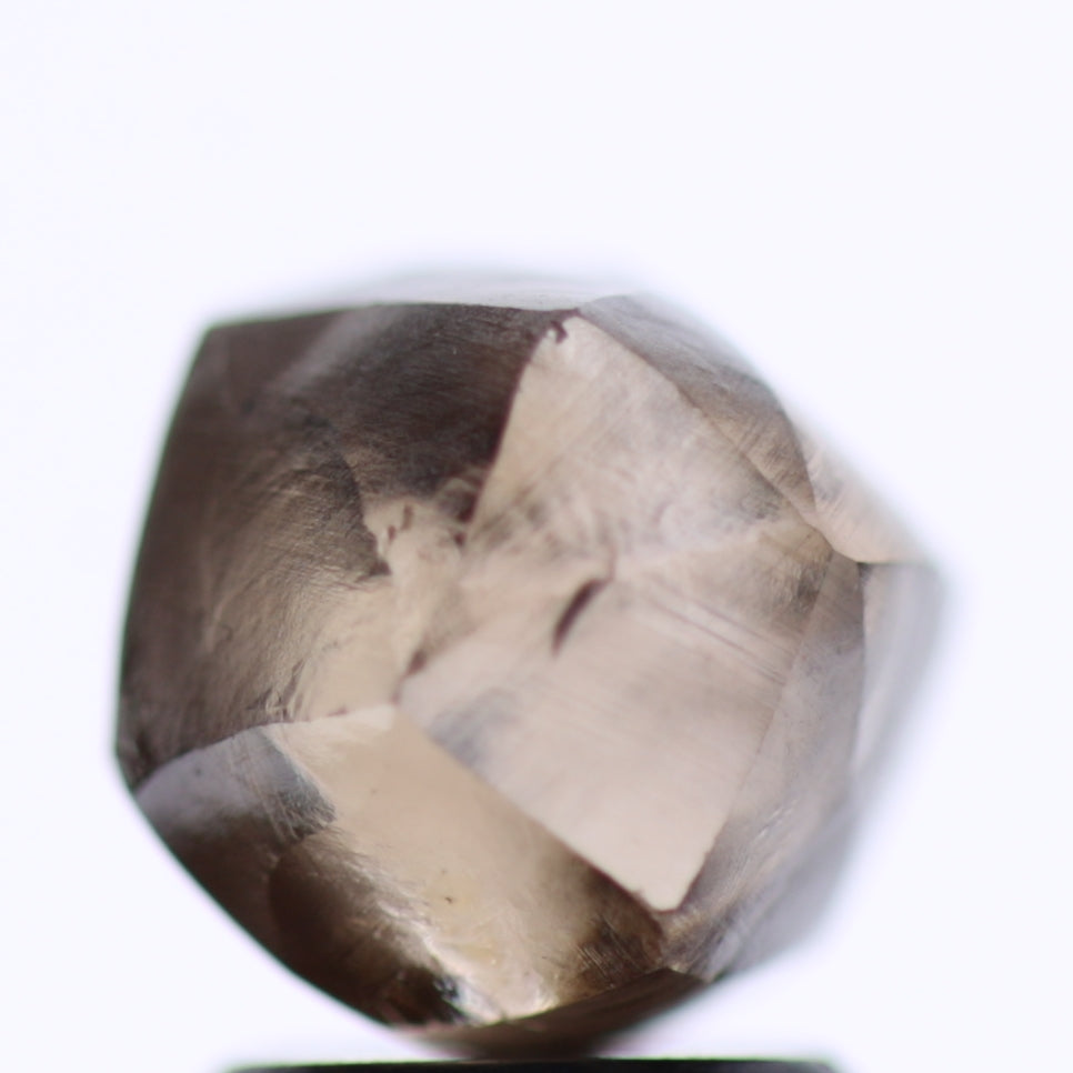 3.80 Carat Natural Fancy Deep Brown Rough Diamond 7.92 MM