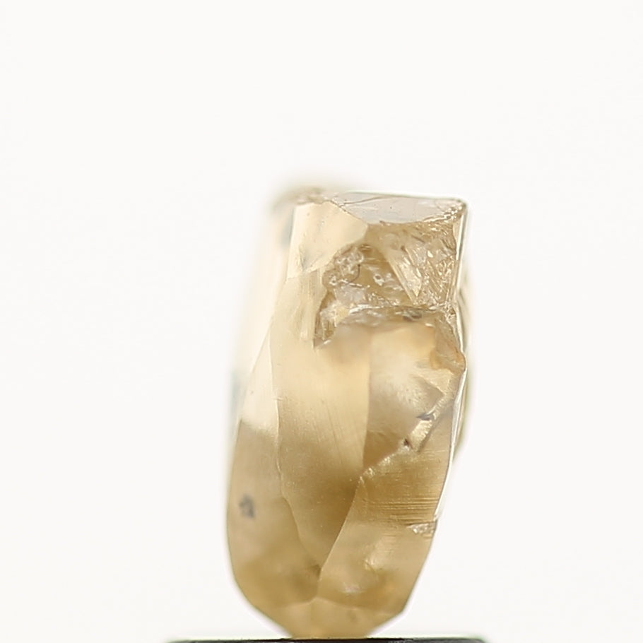 1.98 Carat Natural Champagne Brown Rough Raw Diamond 7.9 MM
