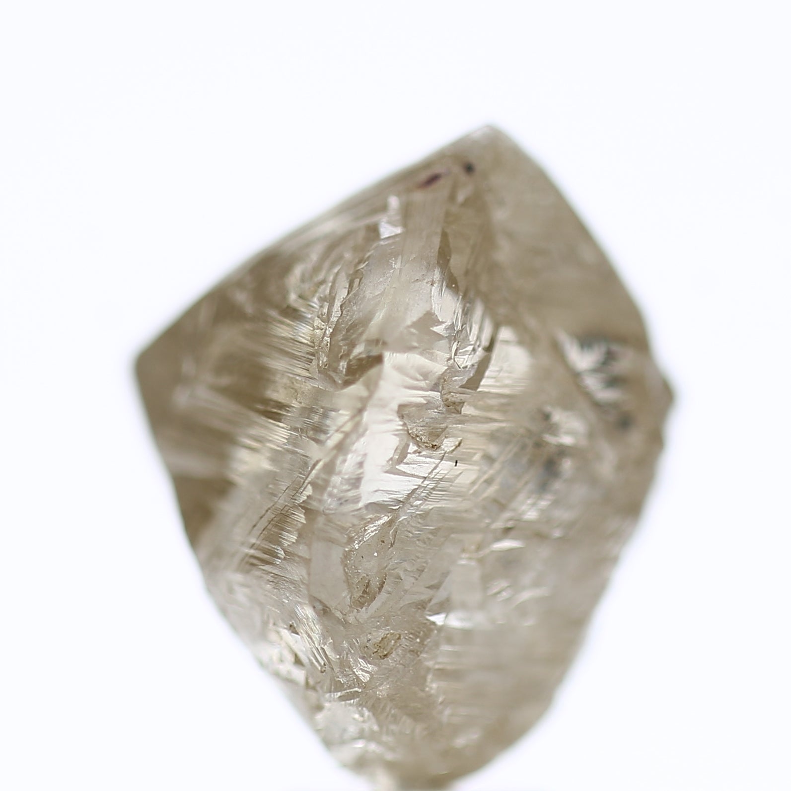 10.72 Carat Natural Fancy Champagne Rough Diamond