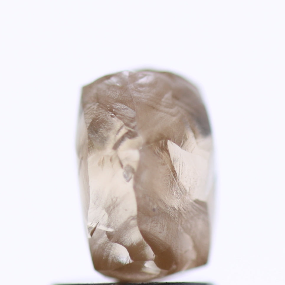 2.13 Carat Natural Fancy Champagne Brown Raw Rough Diamond 7.3 MM