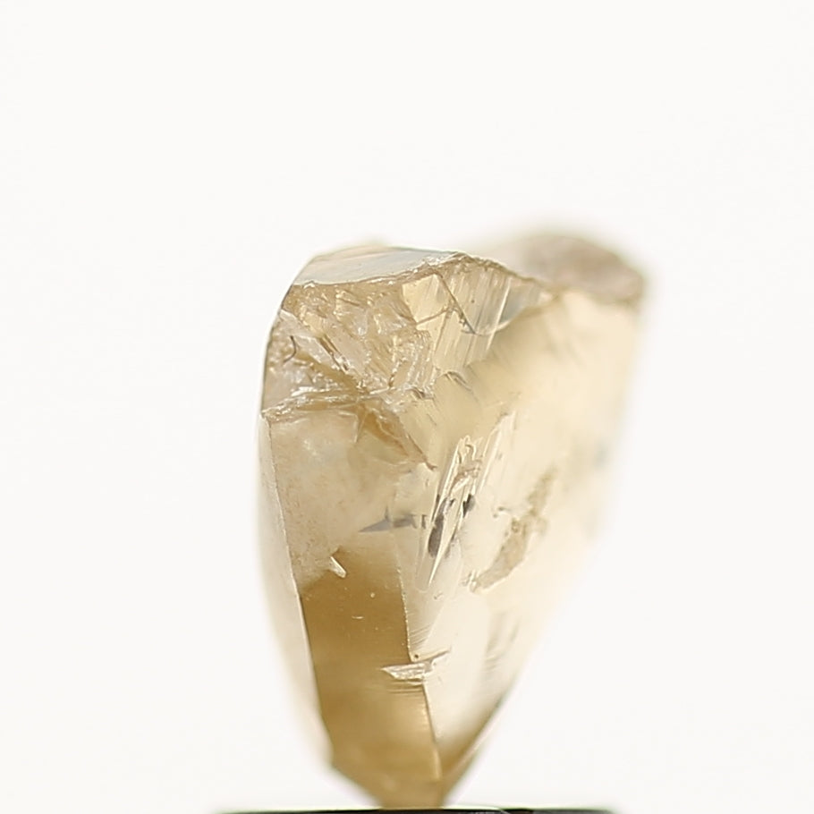 1.98 Carat Natural Champagne Brown Rough Raw Diamond 7.9 MM