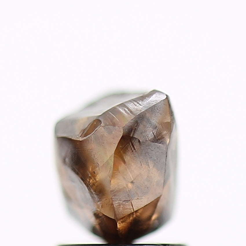 2.19 Carat Natural Fancy Brown Rough Diamond 7.63 MM