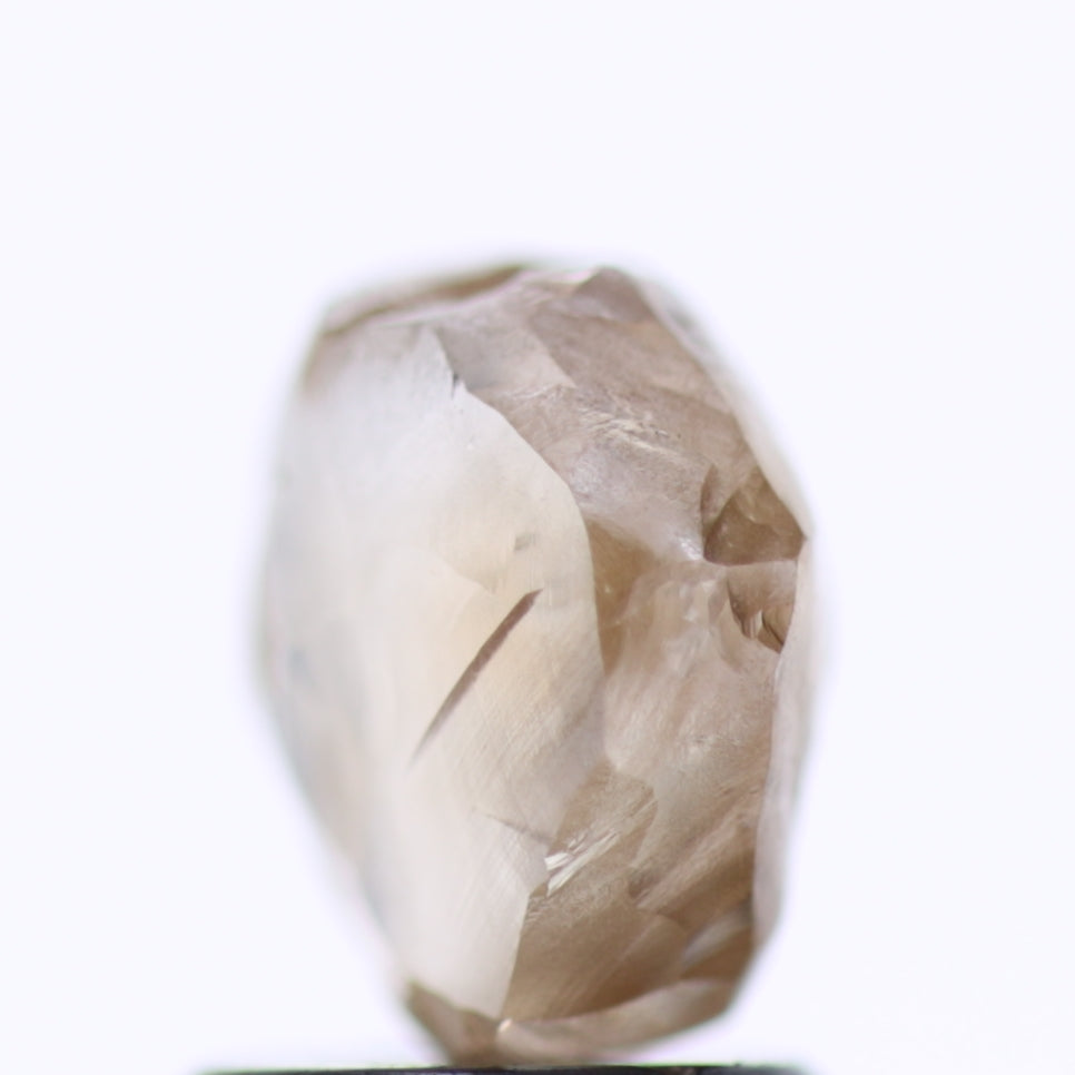 2.13 Carat Natural Fancy Champagne Brown Raw Rough Diamond 7.3 MM