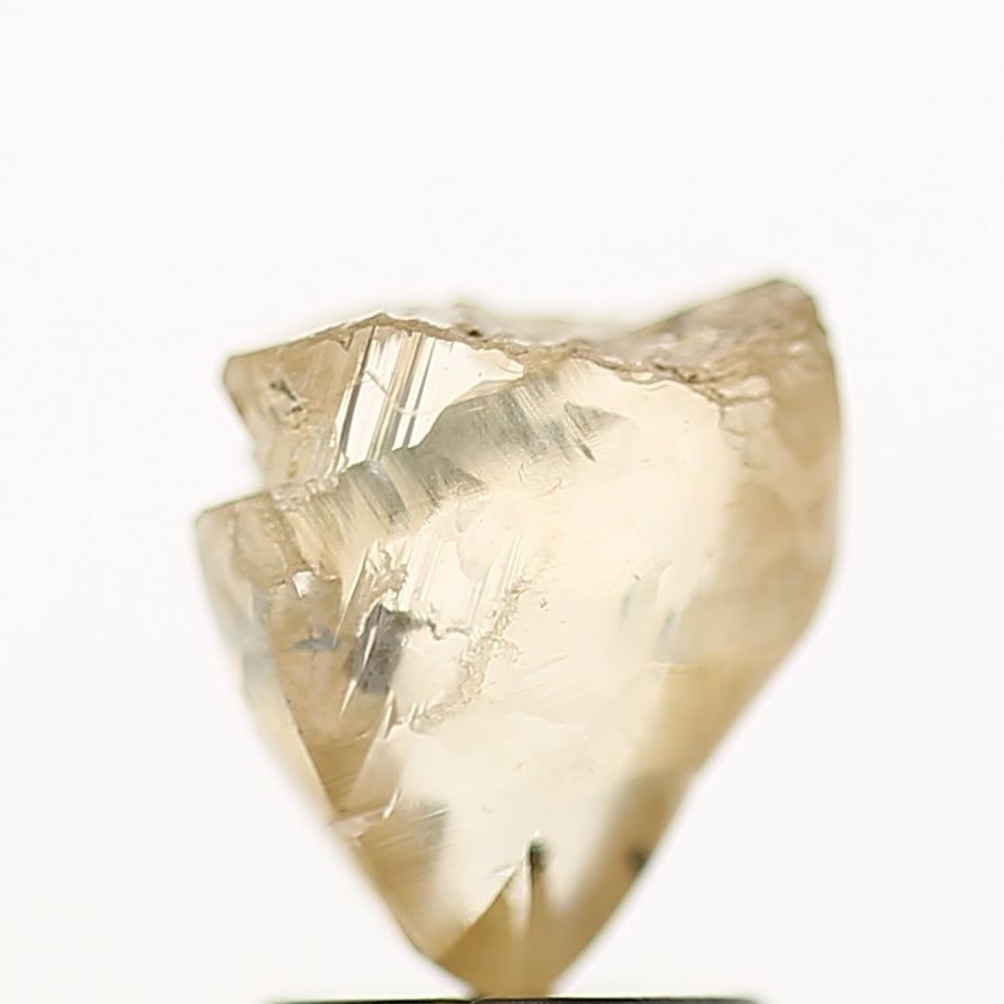 1.98 Carat Natural Champagne Brown Rough Raw Diamond 7.9 MM
