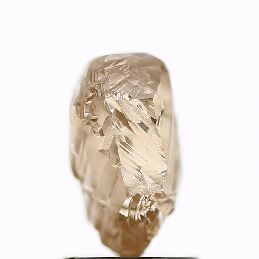 1.89 Carat Natural Fancy Champagne Brown Rough Diamond 8.3 MM