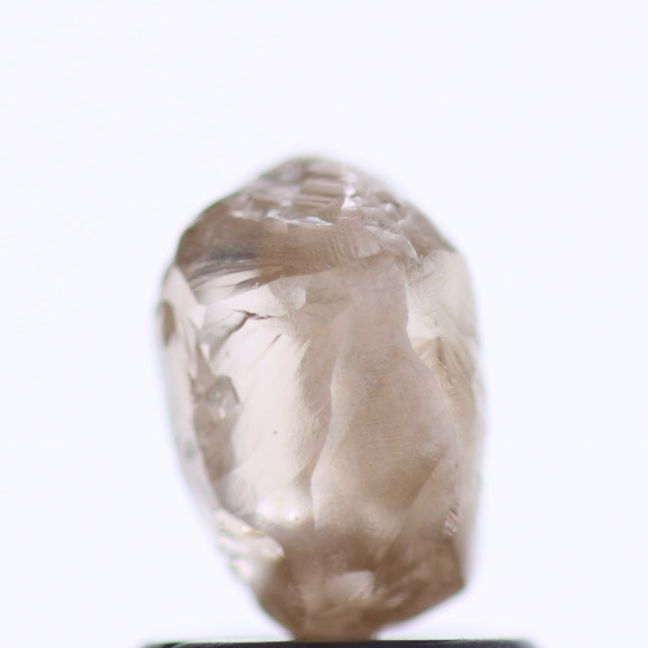 1.45 Carat Natural Fancy Brown Uncut Rough Diamond 6.67 MM