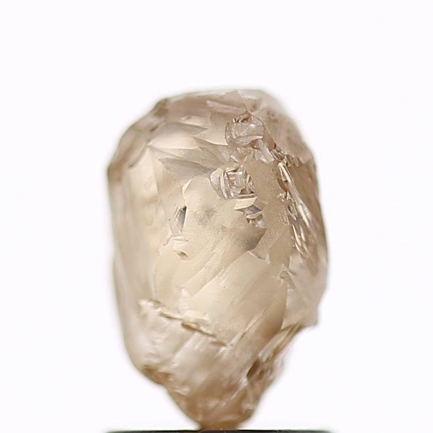1.89 Carat Natural Fancy Champagne Brown Rough Diamond 8.3 MM