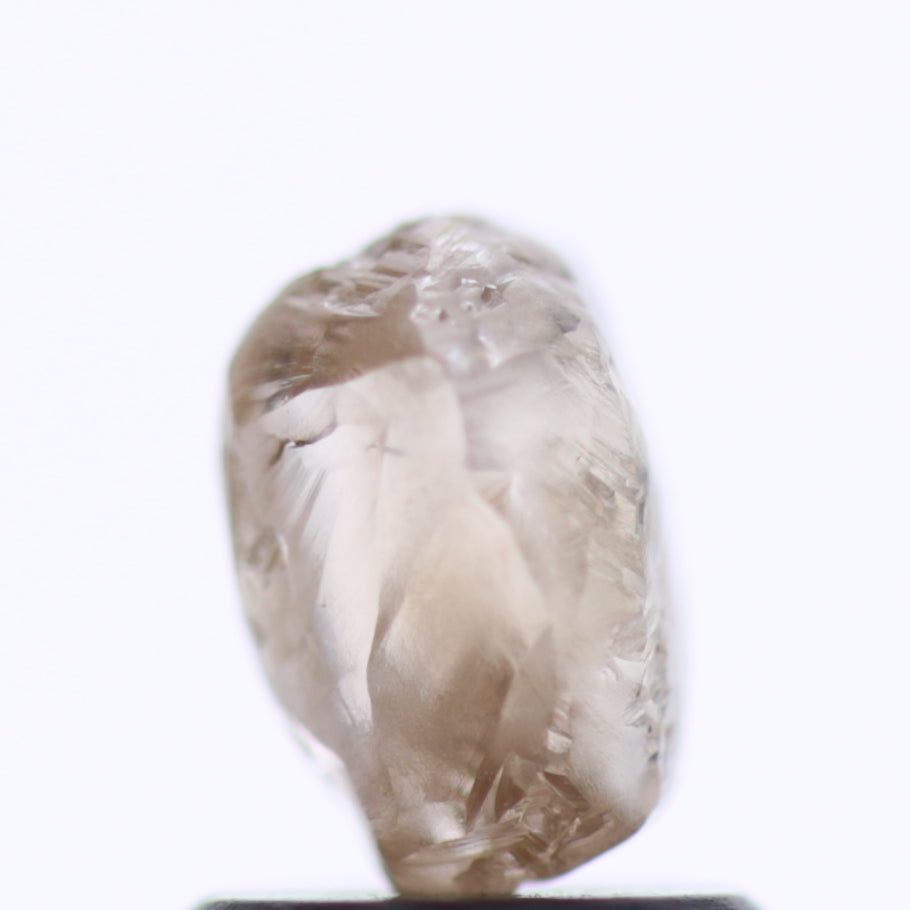 1.45 Carat Natural Fancy Brown Uncut Rough Diamond 6.67 MM