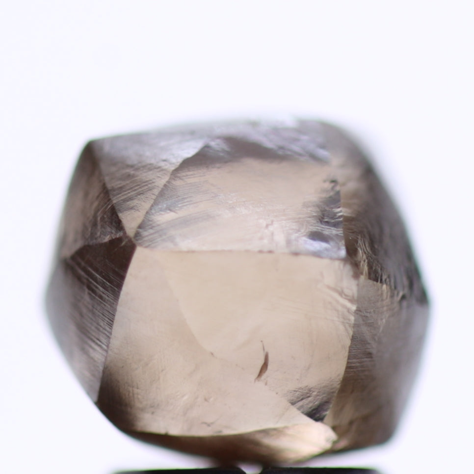3.80 Carat Natural Fancy Deep Brown Rough Diamond 7.92 MM