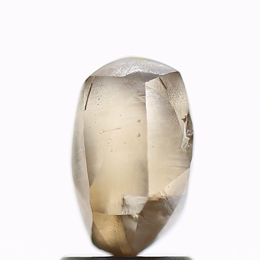 2.45 Carat Natural Fancy Champagne Brown Rough Diamond 8.56 MM