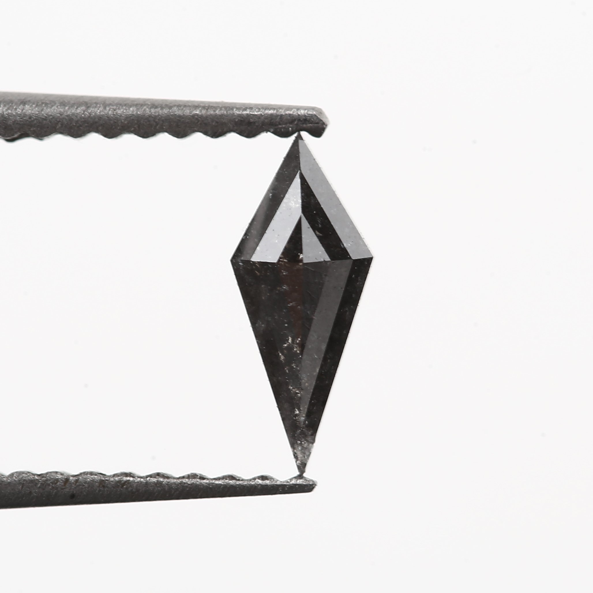 kite black diamond salt and pepper