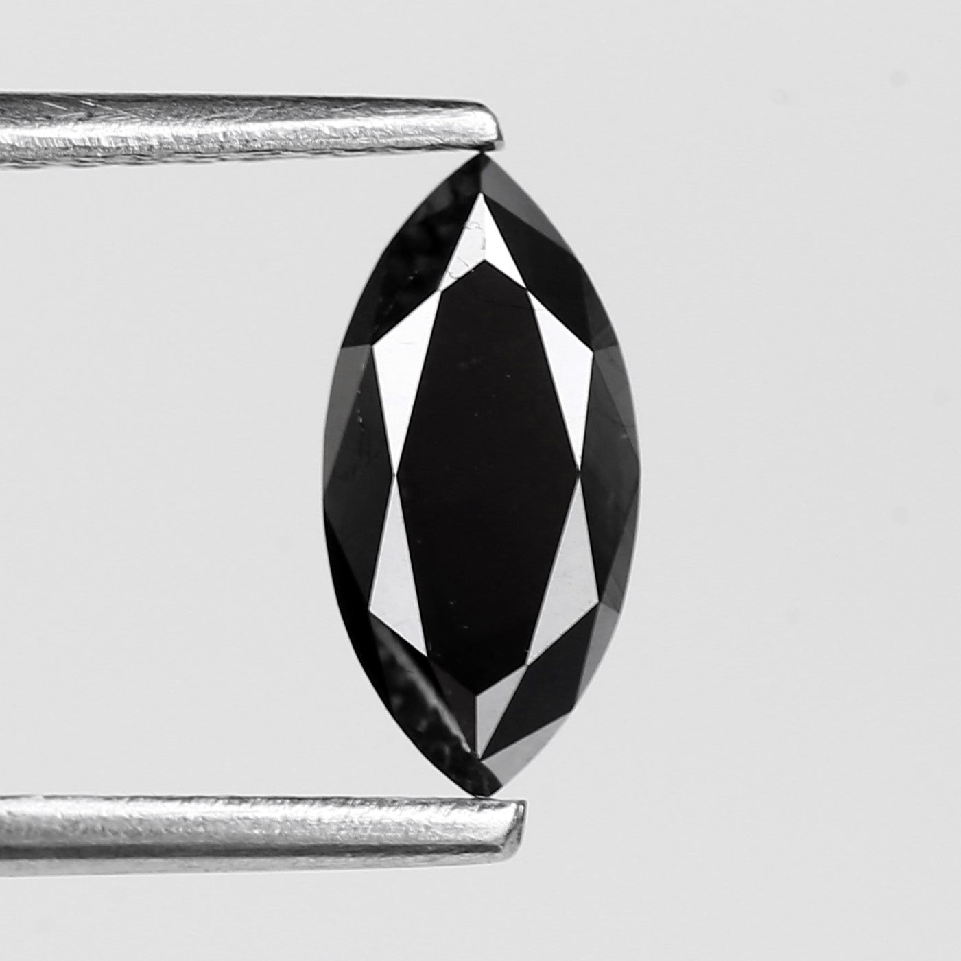 Black diamond held between two silver prongs on a light gray background