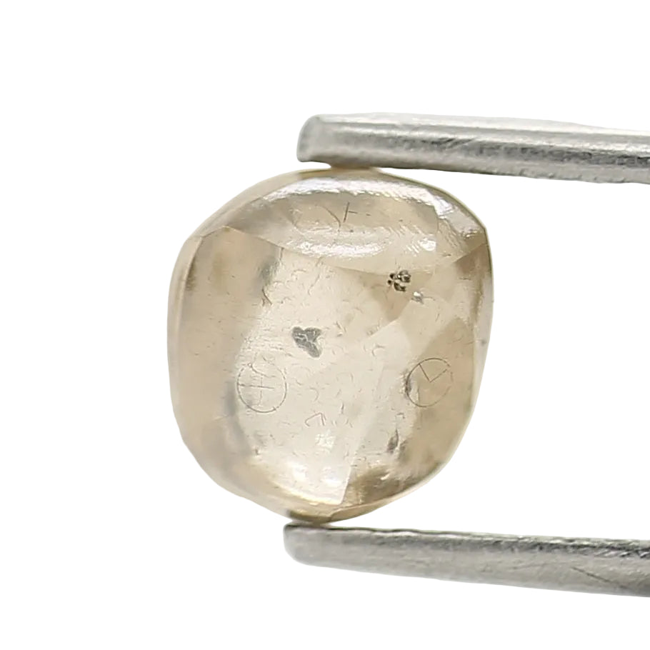 Unmounted rough diamond held by tweezers on a white background