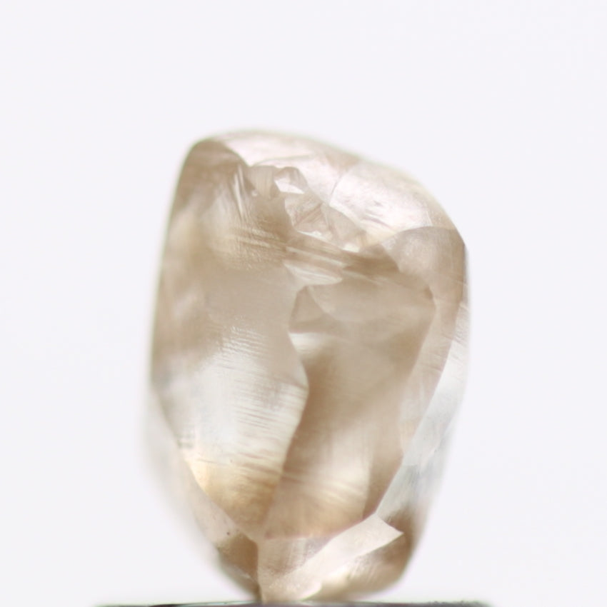 1.25 Carat Fancy Champagne Brown Diamonds Rough Natural 6.53 MM