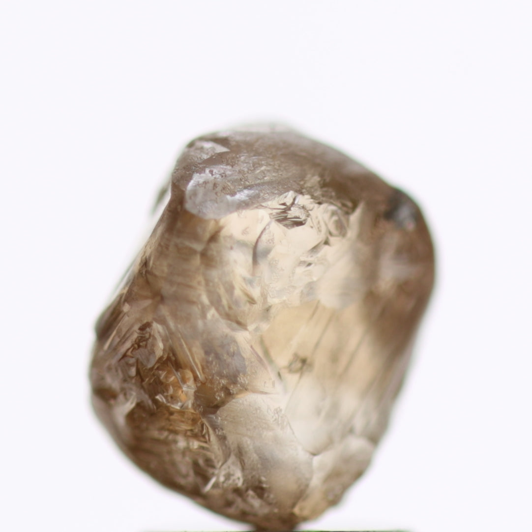 2.52 Carat Fancy Brown Natural Rough Diamonds 8.18 MM