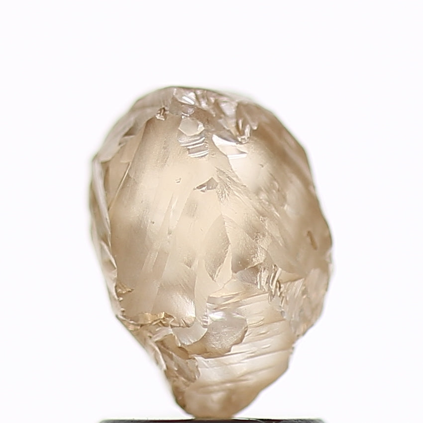 1.89 Carat Natural Fancy Champagne Brown Rough Diamond 8.3 MM
