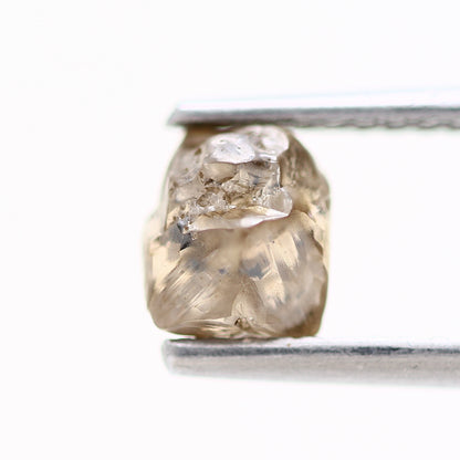 1.22 Carat Fancy Champagne Brown Crystal Raw Rough Diamond 5.30 MM - Blackdiamond