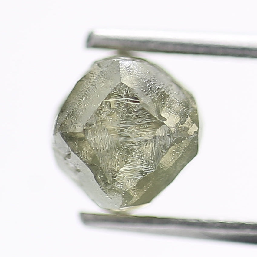 Raw diamond held between tweezers on a white background