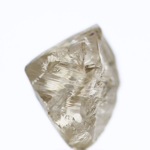 10.72 Carat Natural Fancy Champagne Rough Diamond