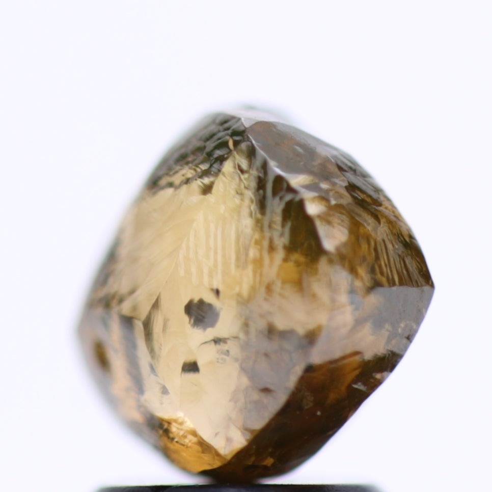 2.53 Carat Natural Fancy Champagne Rough Diamond 7.44 MM