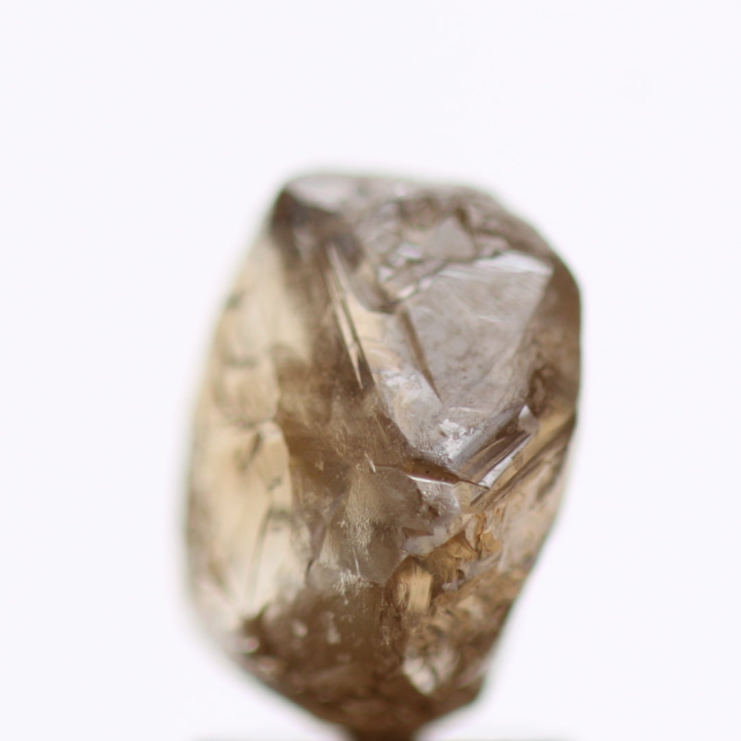 2.52 Carat Fancy Brown Natural Rough Diamonds 8.18 MM