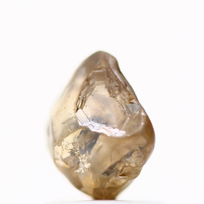 1.27 Carat Natural Fancy Champagne Brown Raw Rough Diamond 6.10 MM - Blackdiamond