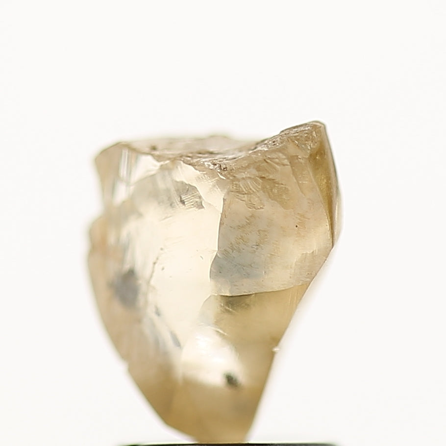 1.98 Carat Natural Champagne Brown Rough Raw Diamond 7.9 MM