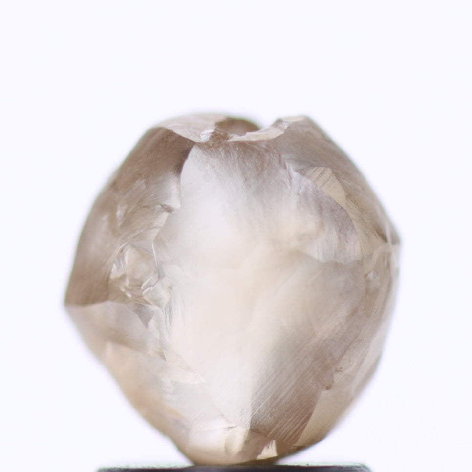 2.13 Carat Natural Fancy Champagne Brown Raw Rough Diamond 7.3 MM