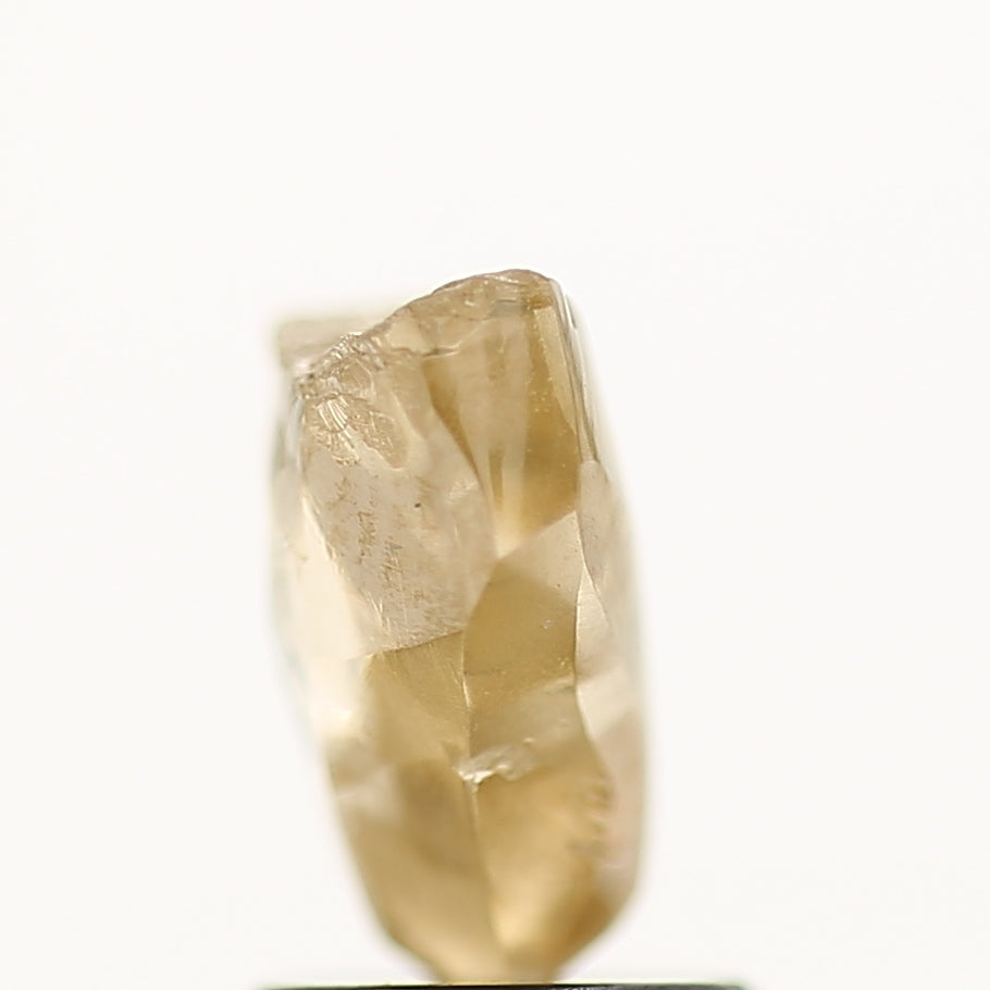 1.98 Carat Natural Champagne Brown Rough Raw Diamond 7.9 MM