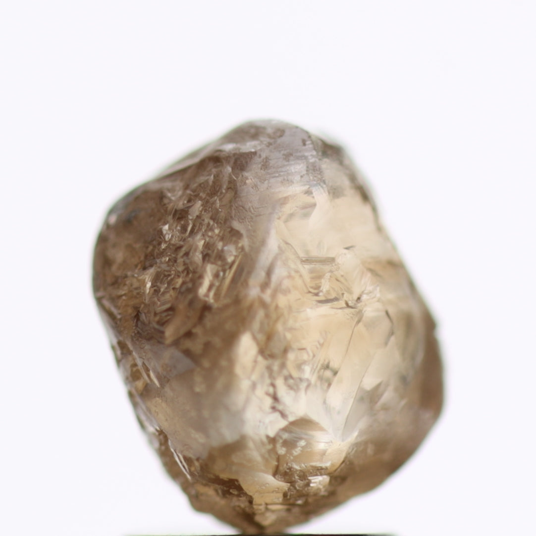 2.52 Carat Fancy Brown Natural Rough Diamonds 8.18 MM