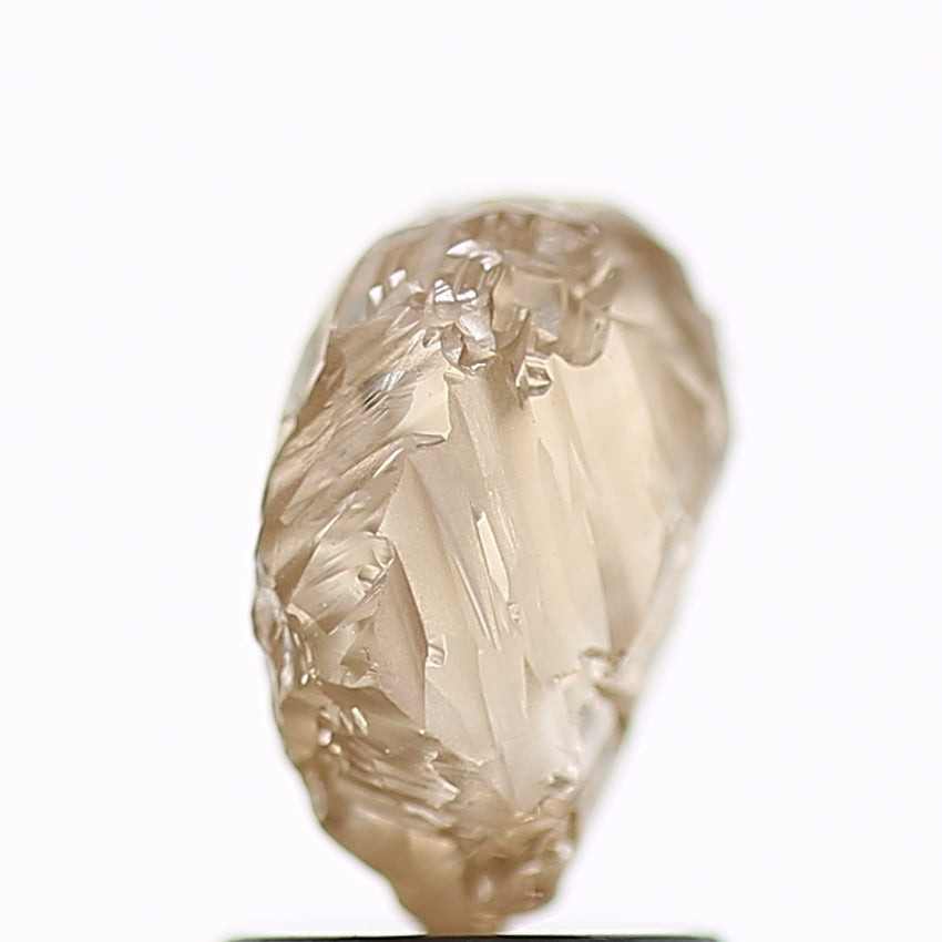 1.89 Carat Natural Fancy Champagne Brown Rough Diamond 8.3 MM