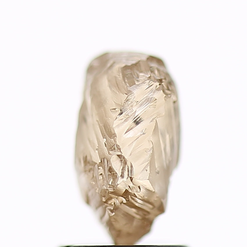 1.89 Carat Natural Fancy Champagne Brown Rough Diamond 8.3 MM