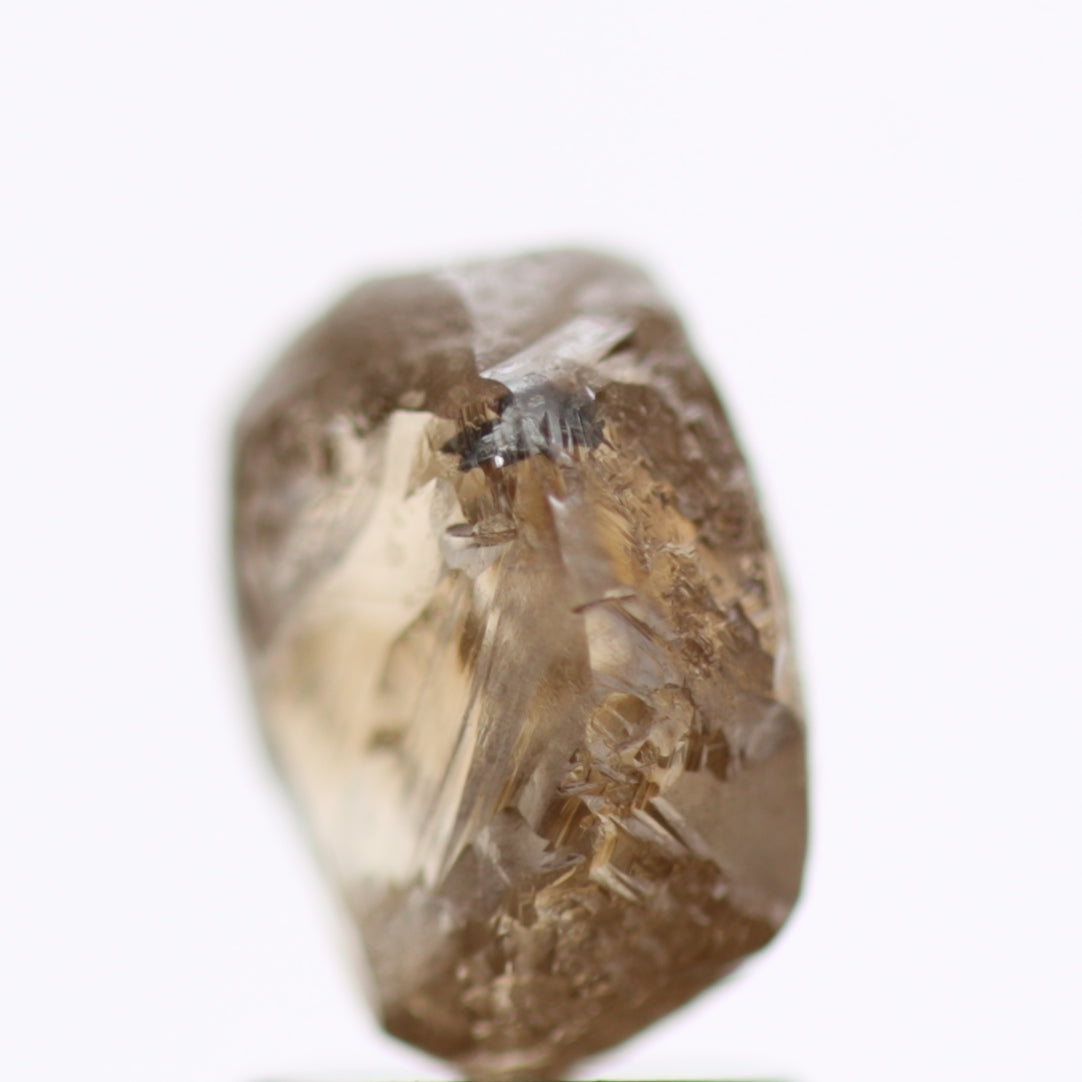 2.52 Carat Fancy Brown Natural Rough Diamonds 8.18 MM