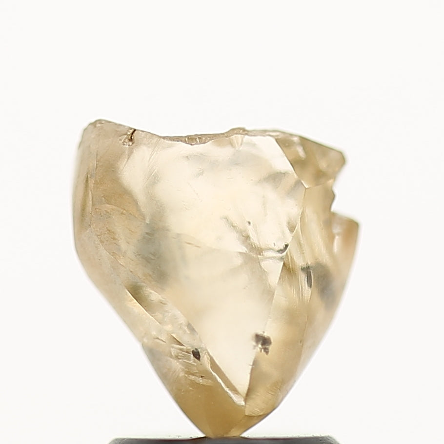 1.98 Carat Natural Champagne Brown Rough Raw Diamond 7.9 MM
