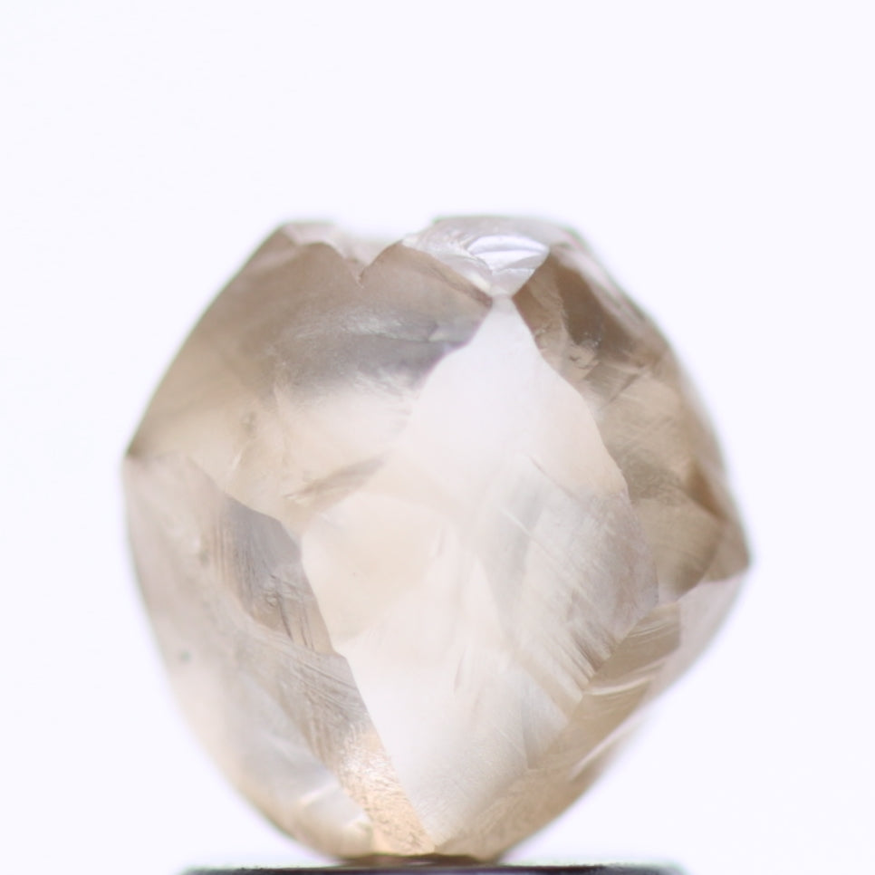 2.13 Carat Natural Fancy Champagne Brown Raw Rough Diamond 7.3 MM
