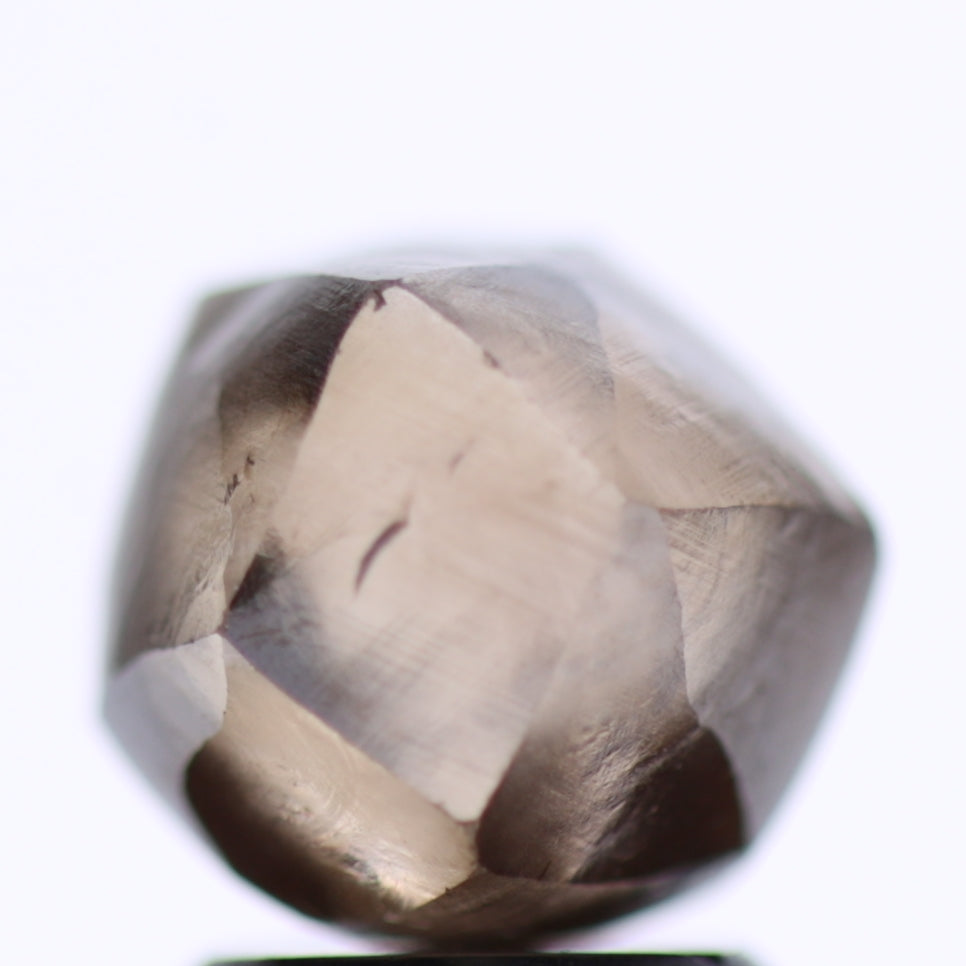 3.80 Carat Natural Fancy Deep Brown Rough Diamond 7.92 MM