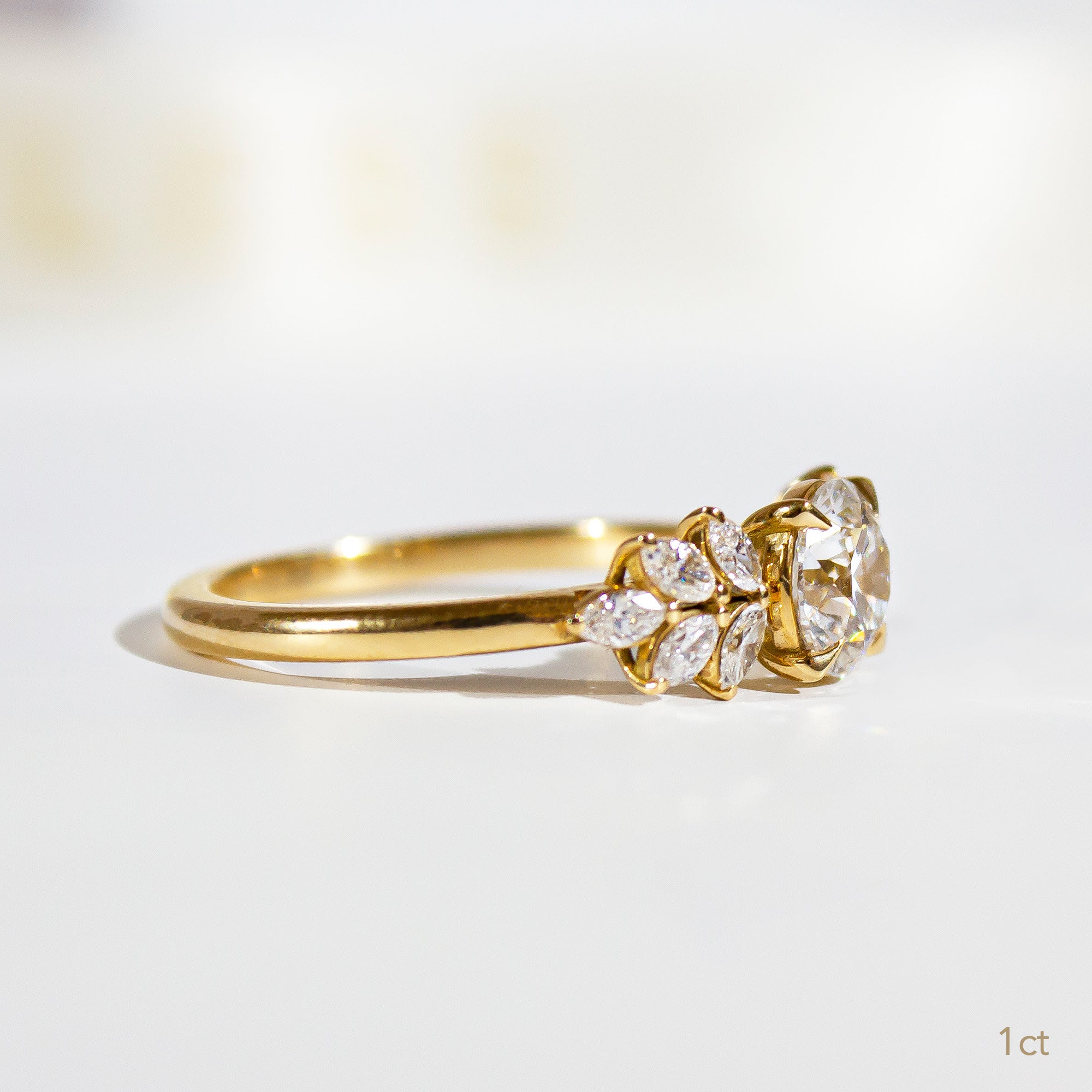1ct D VVS1 Trilogy Round Engagement Ring IGI Certified Isabella